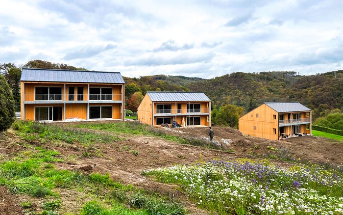 Nachhaltige Wohnhäuser aus Massivholz in Helmeroth, umgeben von Wald und Wiesen